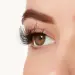 Ardell nalepovací řasy - Wispies 704
