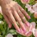 NANI gel lak 6 ml - Pinky Dream