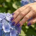 NANI gel lak Premium 6 ml - Cucflek