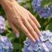 NANI gel lak Premium 6 ml - Teta z Provence