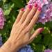 NANI gel lak Premium 6 ml - Rajda