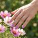 NANI gel lak Amazing Line 5 ml - Candy Orchid