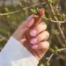 NANI gel lak Amazing Line 5 ml - Pink Sky