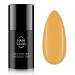 NANI gel lak Amazing Line 5 ml - Sun Spell