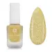 NANI lak na nehty Super Shine 10 ml - Golden Champagne