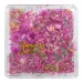 NANI dried flowers - Rosy Garden