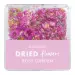 NANI dried flowers - Rosy Garden